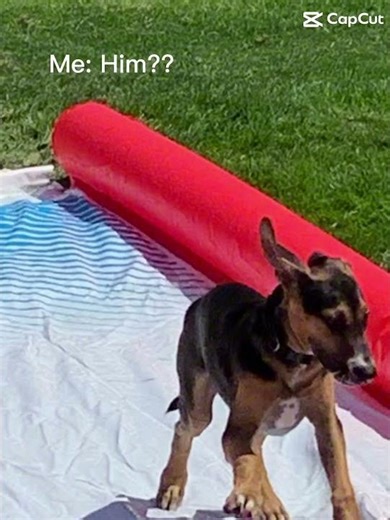 Him as a little baby! #funny