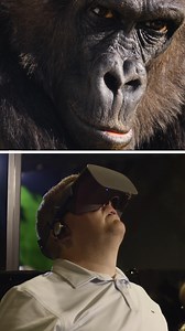 13K views · 176 reactions | Have you ever wanted to explore the ocean's depths, soar above the plains of Africa, or trek deep into the forest to come face-to-face with a troop of gorillas? Now you can at the Zoo! Wild Explorer Virtual Reality is a 360° visual experience with an immersive VR headset, motion seats, and audio! Explore the wonders of wildlife like never before in this brand-new attraction, available now at Bird Lake Plaza ️ | Philadelphia Zoo | Facebook