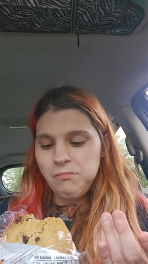 Review of the chocolate chuck sandwich cookie from wawa #oldvideo #review #wawa #limitededition | Brittany Lynn