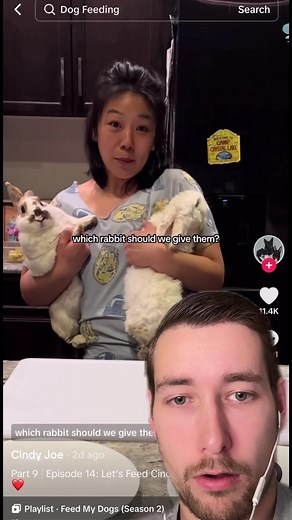 @Cindy Joe way too cute of a rabbit