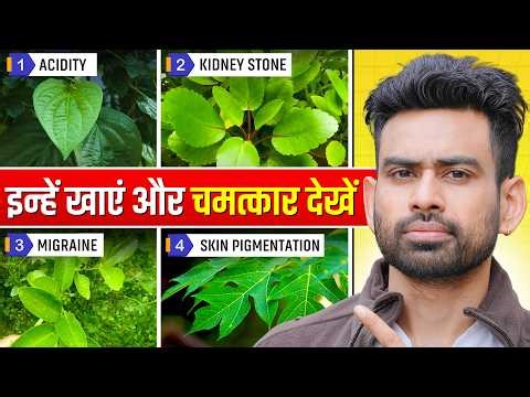 ये 5 पत्ते खाओ, बीमारियां छू भी नहीं पाएंगी - Amazing Medicinal Leaves | Fit Tuber Hindi