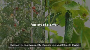 How to Start a Vertical Outdoor Garden