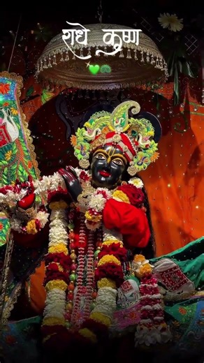 pyaari shayama ju....🧿🌸 RADHA RANI STATUS 👀💝 #krishna #love #shyam #youtube #aarti #radha #radharani