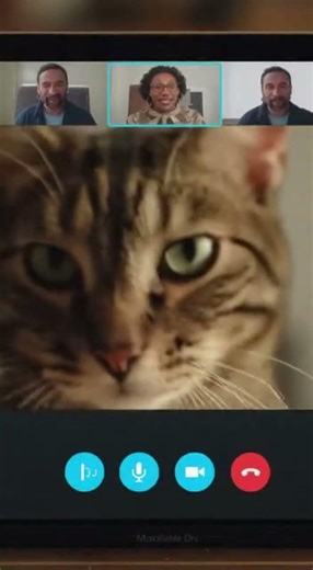 Cat Crashes Every Zoom Call! #cat #shorts #catlover