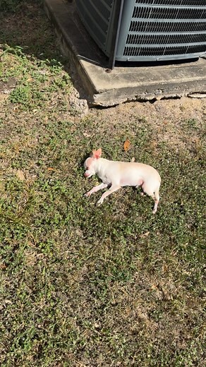 Back to work 😂😂😂 | Damon Smith