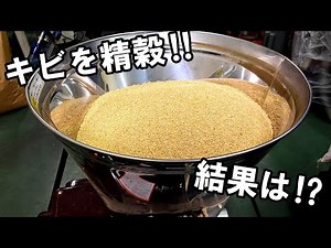 キビ 実験動画