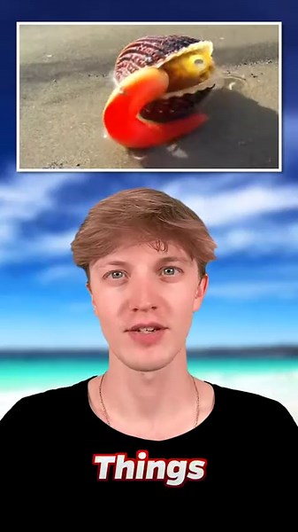 Things Humans Were Never Meant to See