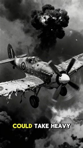 The Fighter That Shot Down More Than the Spitfire #historicalfacts #historyshorts #militaryhistory