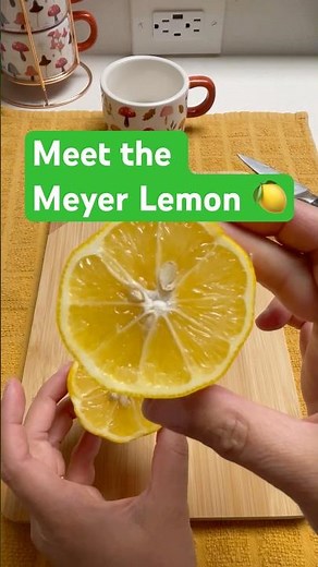 If you think all lemons taste the same, this one’s different, meet the 🍋 Meyer Lemon