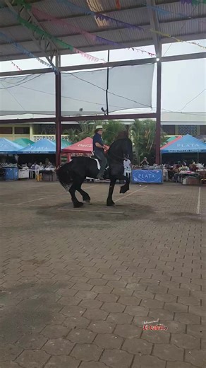 19K views · 412 reactions | Sr. Barney Chamorro, en Juigalpa/ Chontales. | El Caballo | Facebook