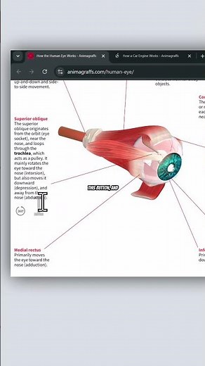 See How Things Work with Animagraffs! 🔍✨ #shorts #Animagraffs