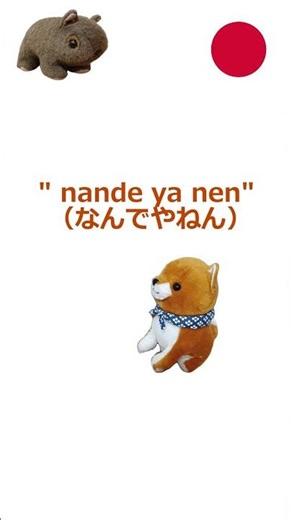 How to use the Osaka dialect expression "nande ya nen" | Japanese language | #004_short