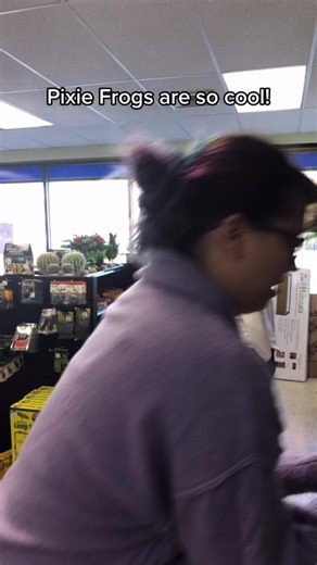 Discovering the Fascinating World of Exotic Pets - Pixie Frogs