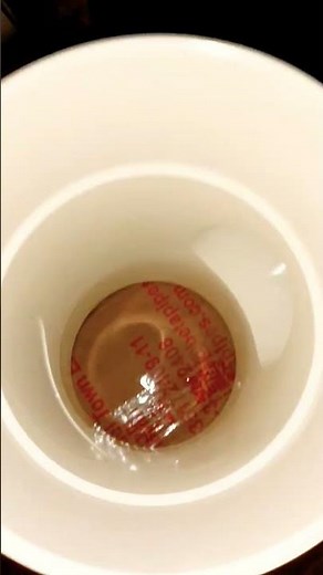 6 inch to 4 inch Raduser PVC |6 inch by 4 inch Raduser dush bush install