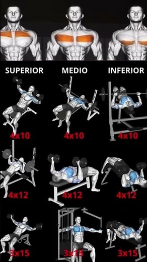 Best Upper, Middle & Lower Abs Exercises 💪 Quick Routine!