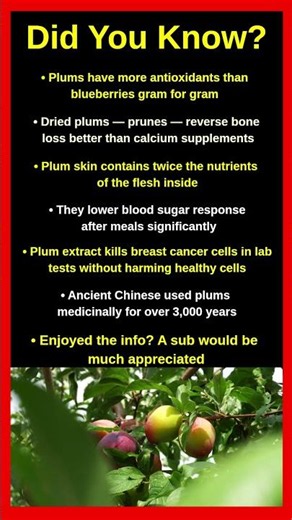 Shocking Facts About Plums That Will Blow Your Mind 🍑😱