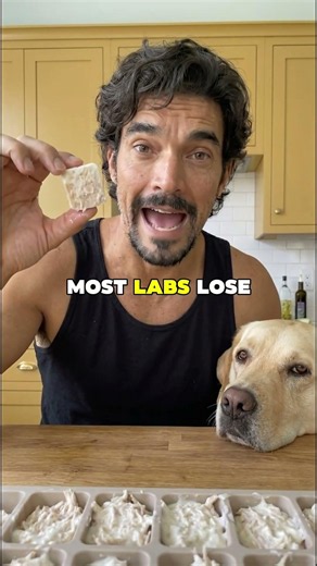 3-Ingredient Frozen Dog Treats for Hot Days 🐾