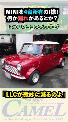 微妙にLLCが減るミニの原因は？MINI4台所有のI様