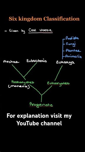 Six Kingdom Classification | NCERT Quick recap #shorts #biology