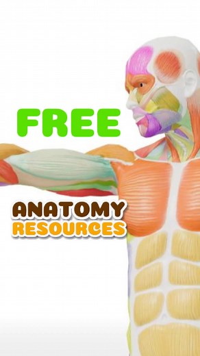 5K views · 189 reactions | If you wanna draw better anatomy, this...