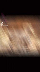 6.1K views · 59 reactions | @tim_downs_ has a way of being at the right place at the right time to capture these kings! ##phoneskope #digiscoping #outdoorphotography #phonephotography #outdooradventures | Phone Skope | Facebook