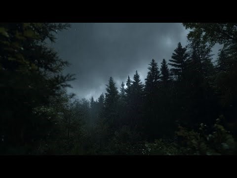 Forest Rainstorm at Night 🌲 | Deep Sleep Ambience with Distant Thunder & Soft Rain Sounds