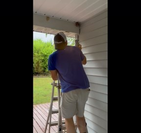 DIY Wasp Nest Removal
