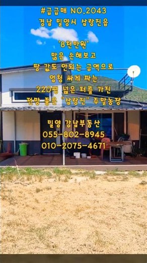 #급급매 NO.2043 (삼랑진) "8천만원" 손해보고 땅 값도 안되는 금액으로 엄청 싸게 파는 삼랑진주말농장 #삼랑진촌집 #삼랑진전원주택 #밀양강남부동산 #밀양촌집 #밀양전원주택