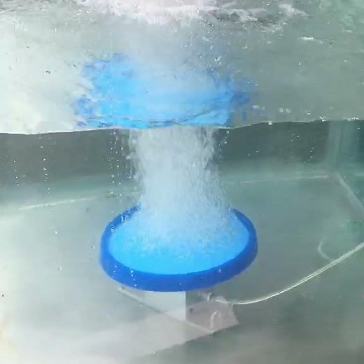 High Oxygen Aeration Membrane Air Fine Bubble Disc Diffuser For Water Treatment.MP4