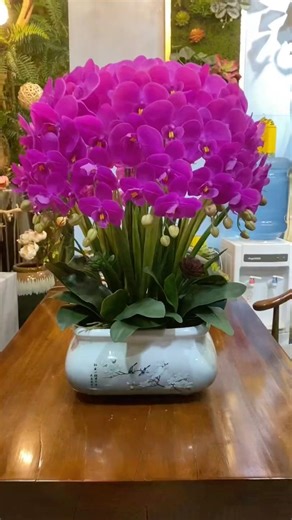 Chúc bạn có những giây phút thật bình yên #chauhoalanhodiep #flowers #orchid