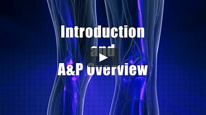 Kinetic Chain Patterns for Complicated Knee Conditions Digital Streaming