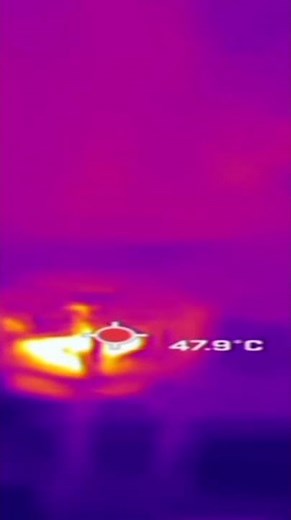 Robotic rabbits help python hunters in Florida