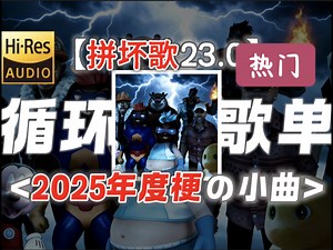 循环歌单丨2025年度梗融合【拼坏歌23.0】融合最多2025梗的歌出现！_哔哩哔哩_bilibili