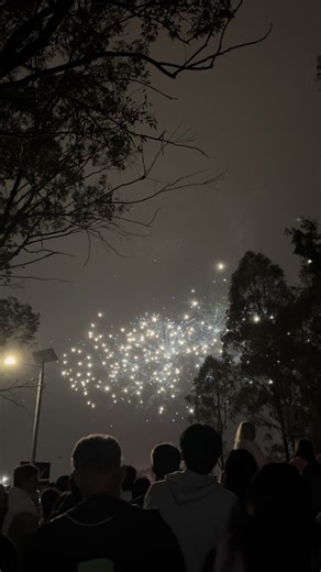 新年快乐 #newyear #fyp