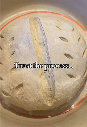 That’s it. Trust the process. . . . . #sourdough #startertok #breadtok #trusttheprocess #slowliving
