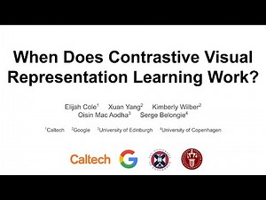 When Does Contrastive Visual Representation Learning Work? - CVPR 2022