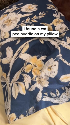 The thing all cat parents should know about cats’ spraying urine and ignoring their box…. and an easy way to help | TheraPet | Facebook