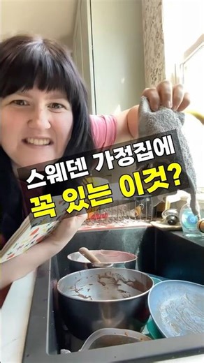 스웨덴 가정집에 무조건 있다는 이거?