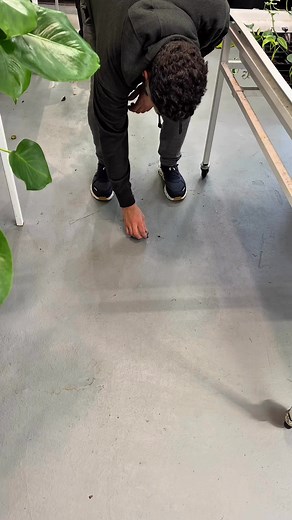 Worm accidentally falls from houseplant into outer space 🪐 🚀 | Gardin - Hydroponics & Soil