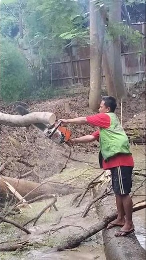 Woodworking project wood cutting technique in water #shortvideo #treecutting #chainsaw