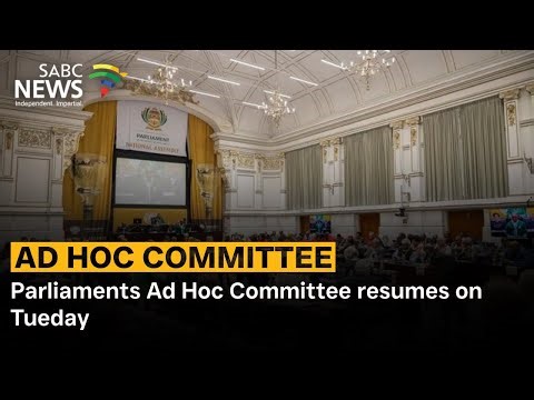 Parly's Ad Hoc Committee to resume hearings on police corruption on Tuesday - Asanda Ngoasheng