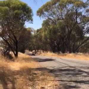 2.8K views · 3 comments | Check out the fly-by on the 2016+ DMAX fitted with our full stainless steel exhaust. I have a deep affection for this car after the supply, install and custom remap to suit - it's an absolute beast! PPD Performance - your one stop shop for supply + fitting of your new exhaust, along with local and remote tuning requirements for modern turbo diesels. Send us a message or check our website for more info www.ppdperformance.com.au | PPD Performance | Facebook