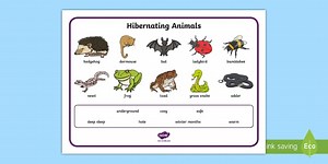 Hibernating Animals Word Mat