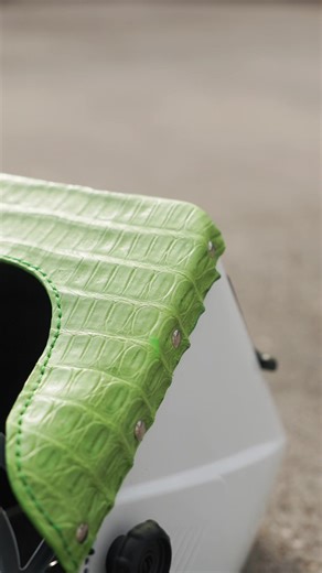 Which Exotic Jackson Hood Would You Pick? #exotic #fyp #parati #leather