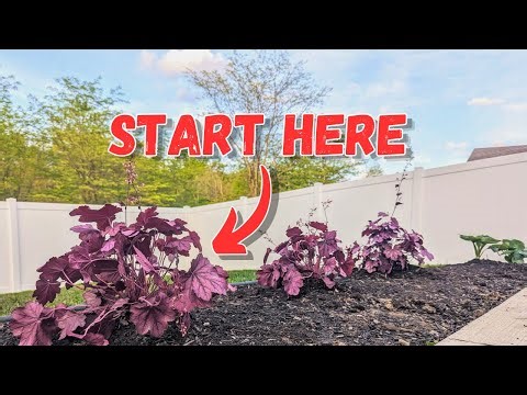 The Secret to Landscape Design | Start Here