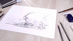 The Faber-Castell Goldfaber Graphite Sketch set are designed for aspiring artist and art students. ✍️😊 These pencils are made with finely ground graphite and clay for a smooth consistent mark. Leads are bonded the entire length of the pencil to resist breakage making them a versatile companion during drawing and sketching. 😍💕🌈✨ #FaberCastell #Goldfaber #GraphiteSketch | Faber-Castell