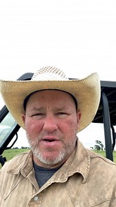 3.3K views · 135 reactions | Calling in the cows to sort calves this morning. See part 2 and full video on my page. #texasrancher #cowcall | Texas Rancher | Facebook