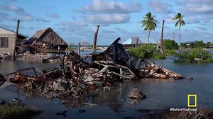 National Geographic and 21st Century Fox have launched a social media campaign promoting Leonardo DiCaprio’s new film Before The Flood. Together, they’ll donate $1 to WCS for every use of #BeforeTheFlood on Facebook, Twitter, and Instagram! Today is the last day to participate; thank you for your support! | Wildlife Conservation Society