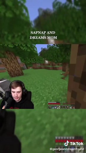 Sapnap's Heartwarming Bond with Dream's Mom | Happy Mother's Day! 🥺❤