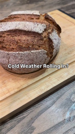 This is THE PERFECT recipe to make during this winter storm it is a Crusty spelt loaf!! •not sourdough but still crusty •no eggs •no milk •no kneading just throw it in a bowl! Comment Bread! For the recipe link! #grainsinsmallplaces #freshmilledflour #freshmilledflourbread #winterbaking #crustybread | Grains In Small Places